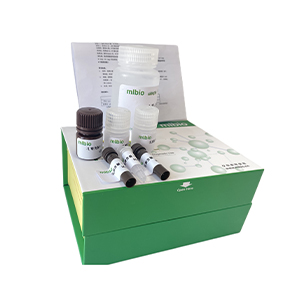 天冬酰胺(Asn)含量試劑盒分光法/48樣主圖