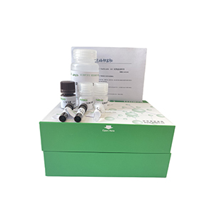 β-甘露糖苷酶(β-Mannosidase,β-Man)活性檢測試劑盒分光法/24樣主圖