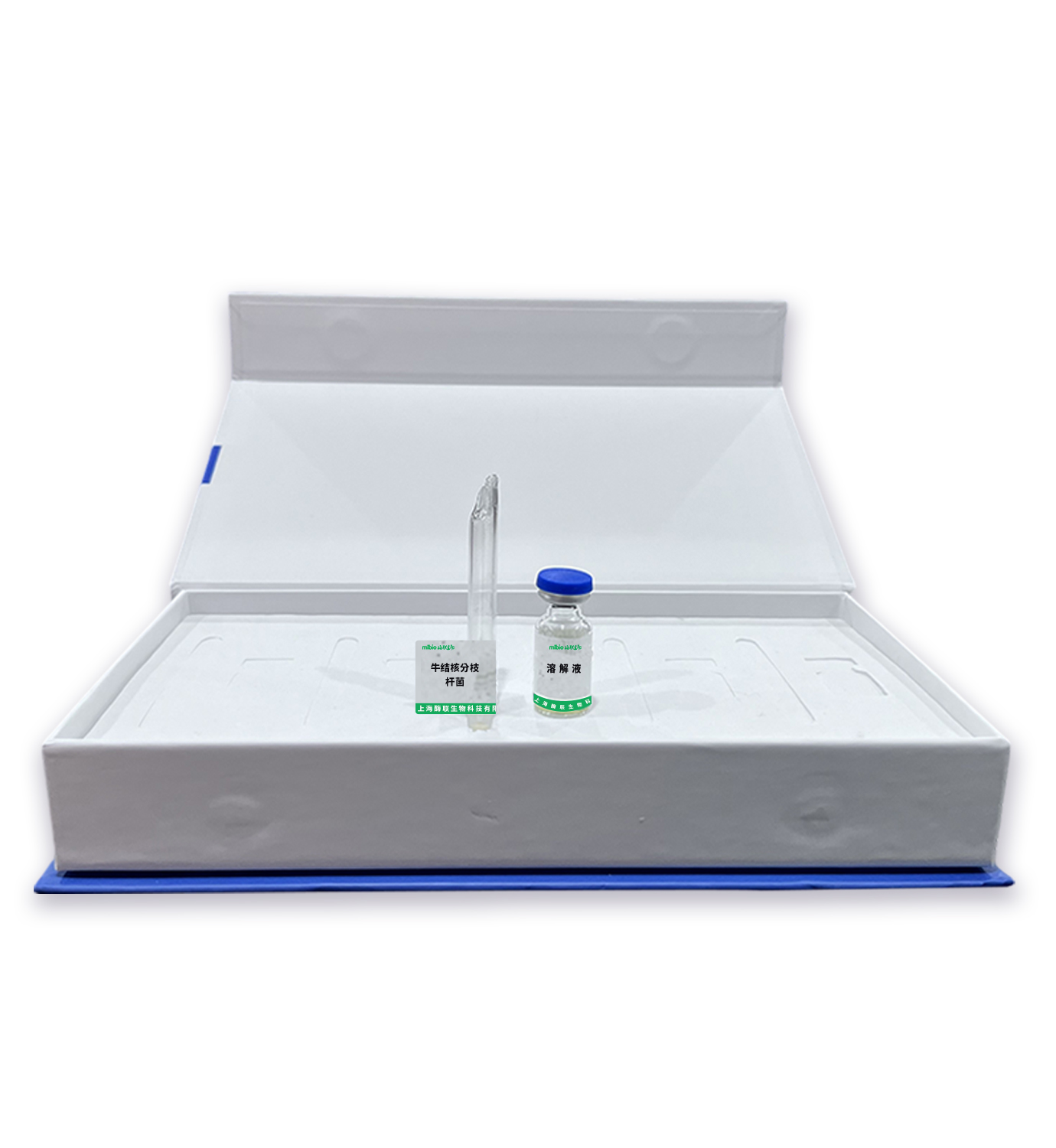 牛結(jié)核分枝桿菌主圖