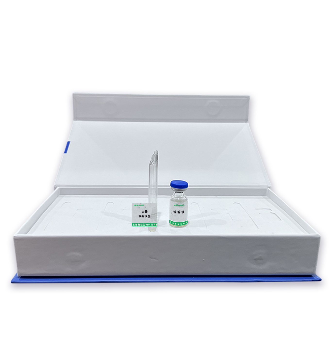 大腸埃希氏菌主圖