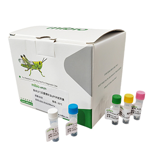 GMO外源cry1Ab基因探針?lè)╭PCR試劑盒(不含內(nèi)參)主圖