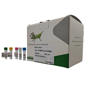 ?？虏《?4型探針法qRT-PCR試劑盒(不含內(nèi)參)主圖