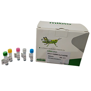 人IL-6(白細(xì)胞介素6)基因572CG點(diǎn)突變探針法qPCR檢測(cè)試劑盒(不含內(nèi)參)主圖