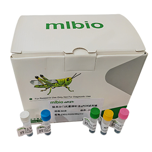 致瀉性大腸桿菌探針?lè)p管五重分型qPCR試劑盒(不含內(nèi)參)主圖