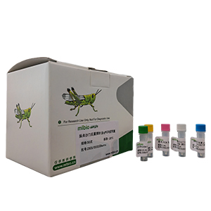 肉毒桿菌肉毒毒素基因A型探針?lè)╭PCR試劑盒(含內(nèi)參)主圖