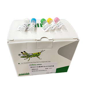 產(chǎn)氣莢膜梭狀芽孢桿菌D型探針?lè)╭PCR試劑盒(含內(nèi)參)主圖