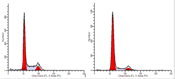 流式細(xì)胞結(jié)果示意圖