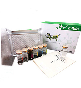 小鼠熱休克蛋白47(HSP-47)ELISA試劑盒主圖