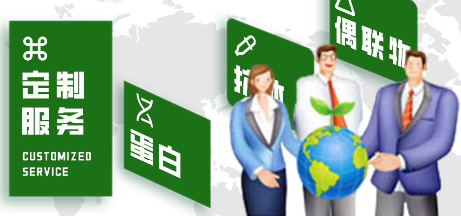 定制服務，蛋白，抗體，偶聯物